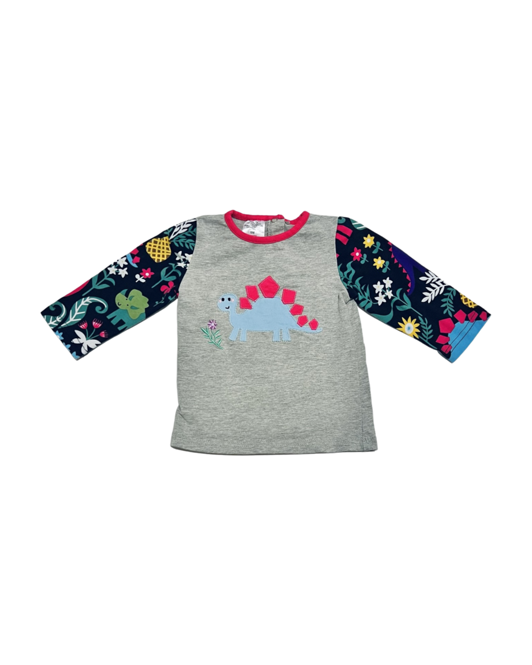 6M Baby Girl Long Sleeve Boutique Dino Shirt