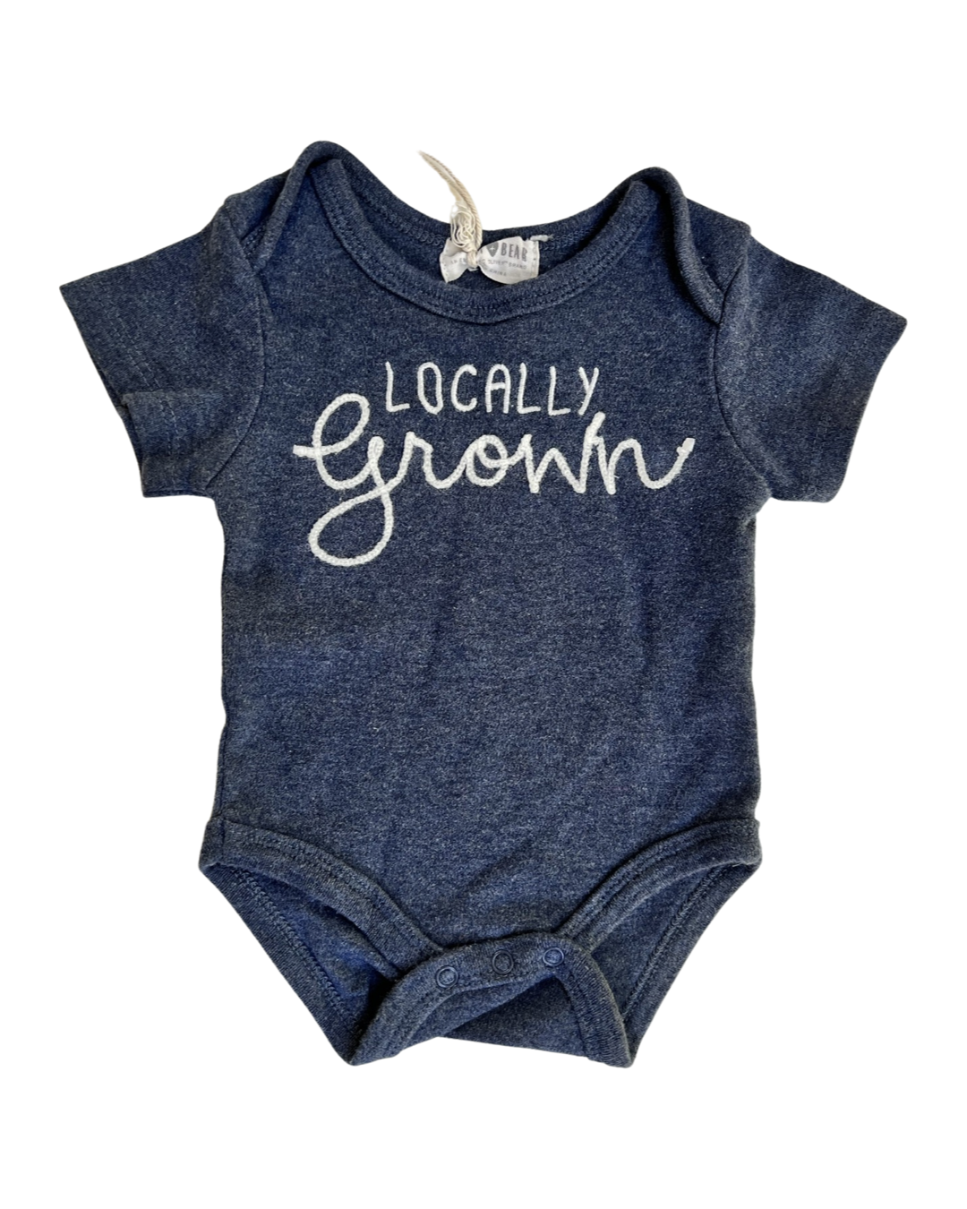 0-3M Baby Boy Rabbit + Bear Locally Grown Onesie Jogger Set