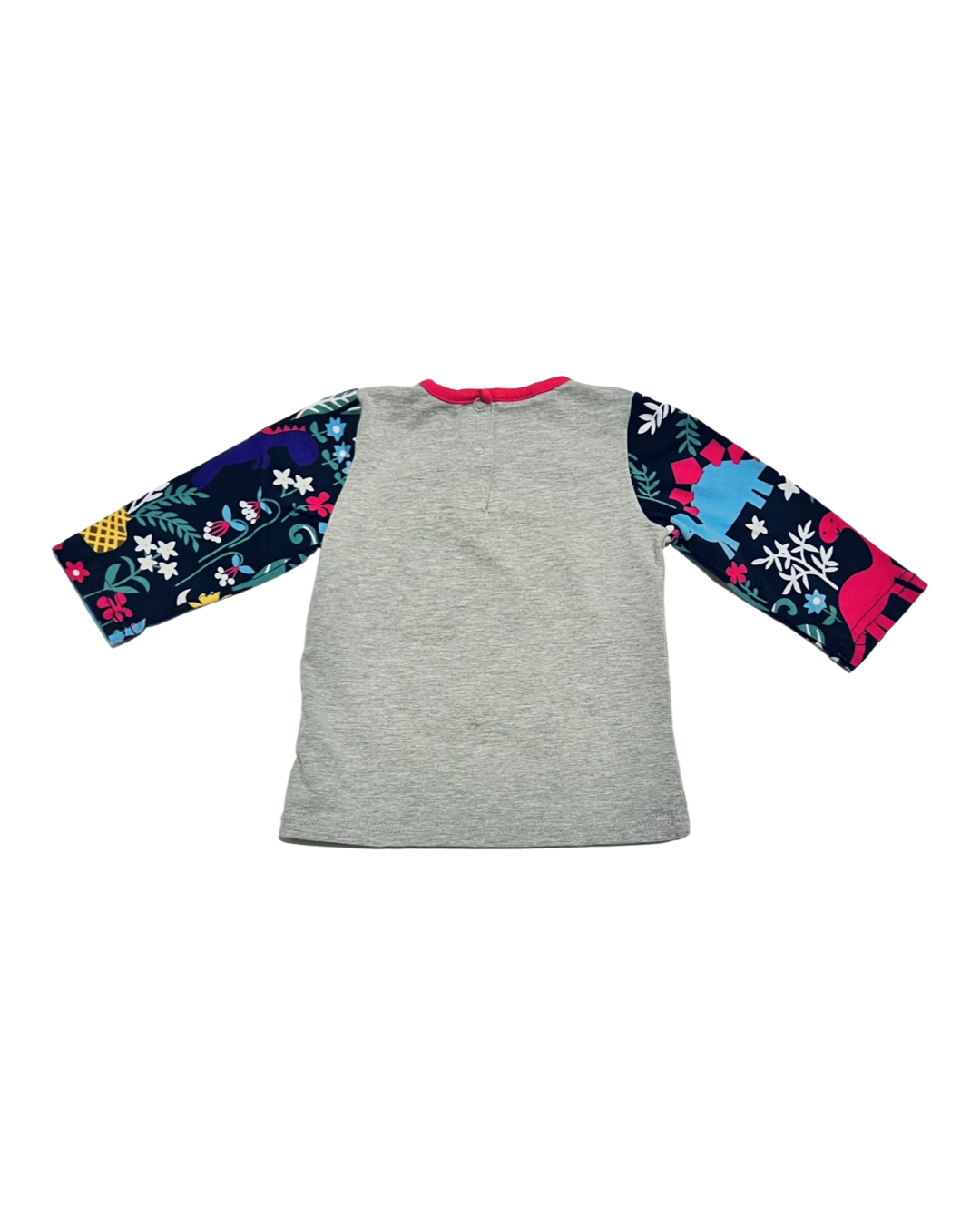6M Baby Girl Long Sleeve Boutique Dino Shirt