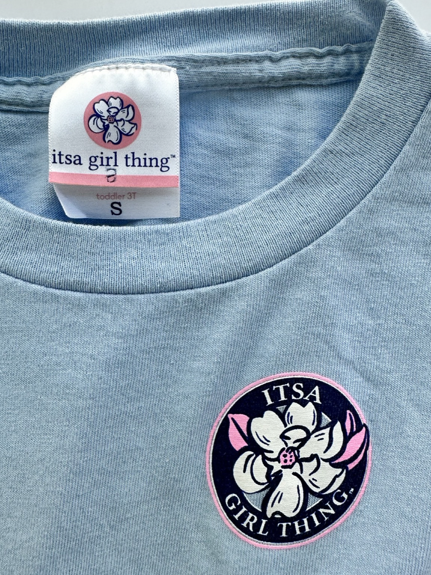 3T Toddler Girl Blue It’s A Girl Thing T-Shirt Top