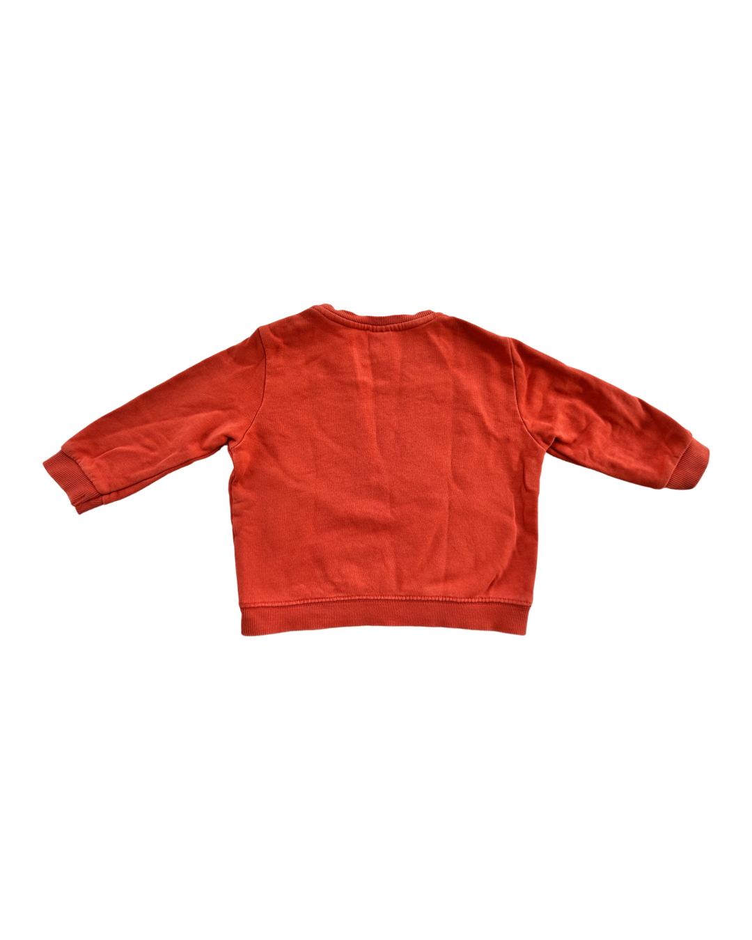 12M-18M Baby Boy Zara Panda Mood Sweatshirt