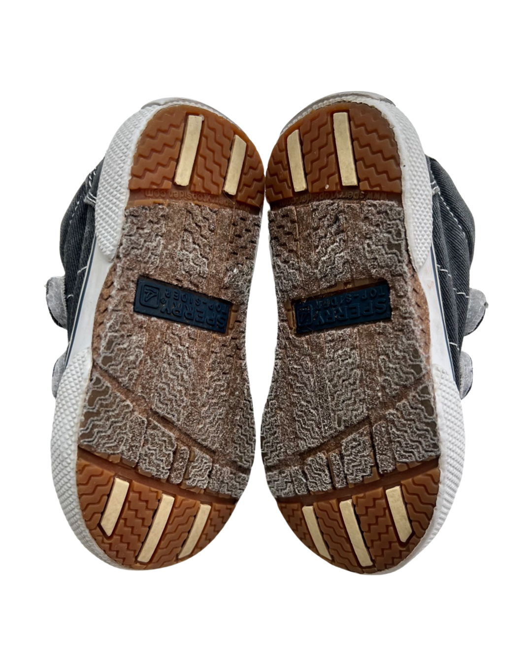 6C Toddler Boy Gray-Blue Canvas Sperry Top-Sider Velcro Shoes