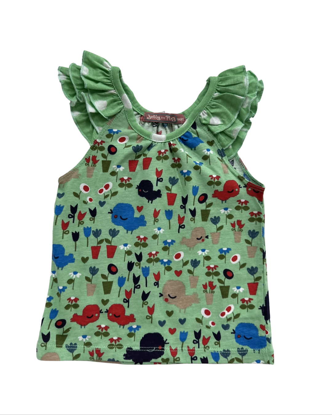 24M Baby Girl Jelly The Pug Boutique Bird Skirt and Top