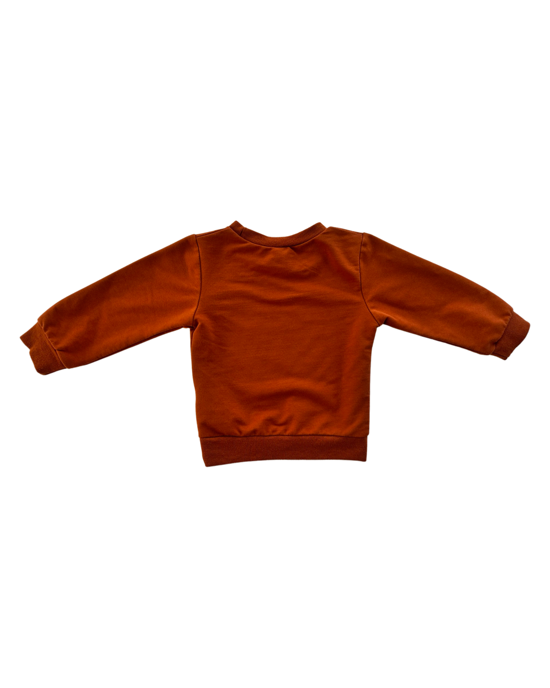 12M-18M Baby Girl Hello Pumpkin Sweatshirt Top