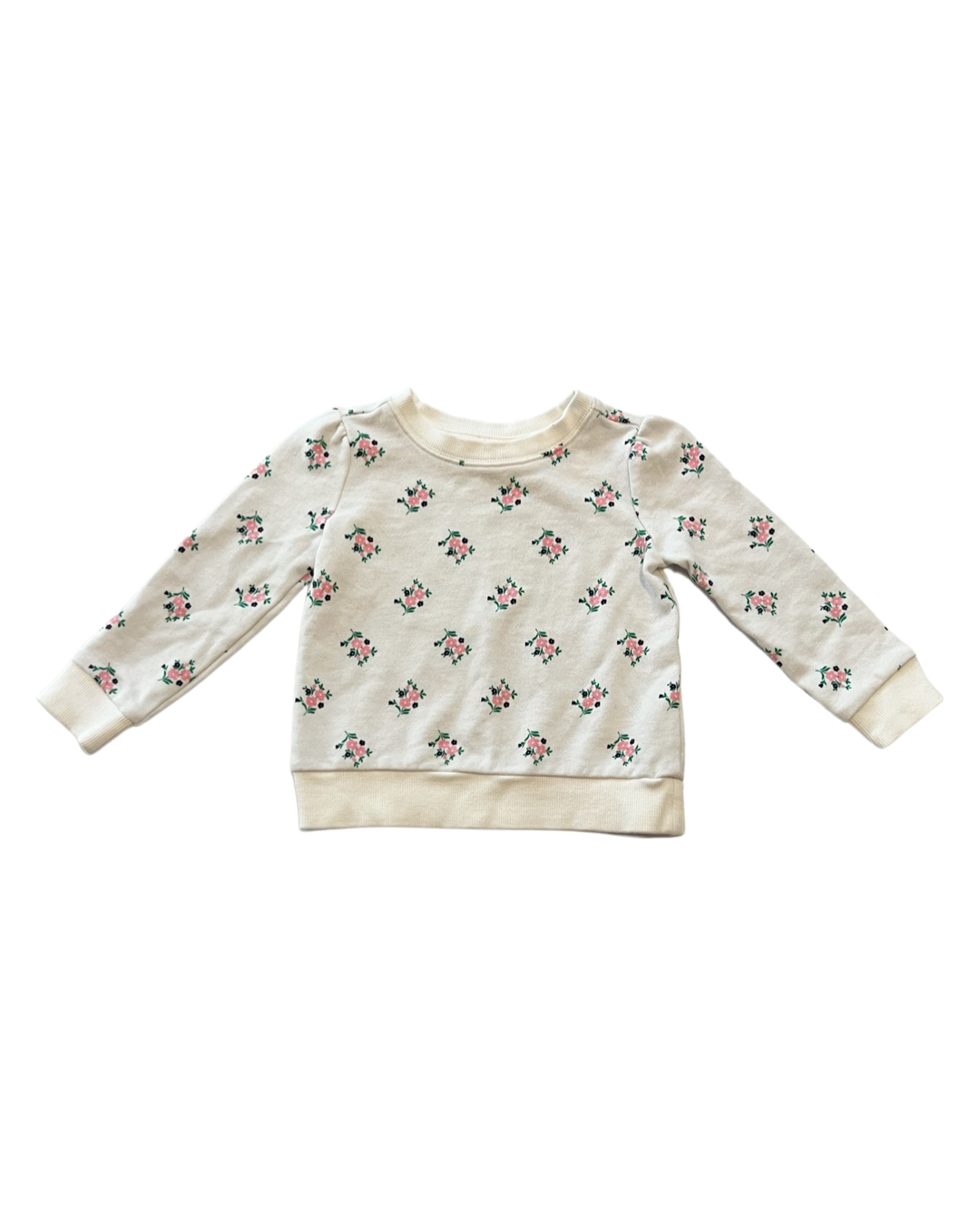 18M-24M Baby Girl Janie & Jack Floral Sweatshirt Top