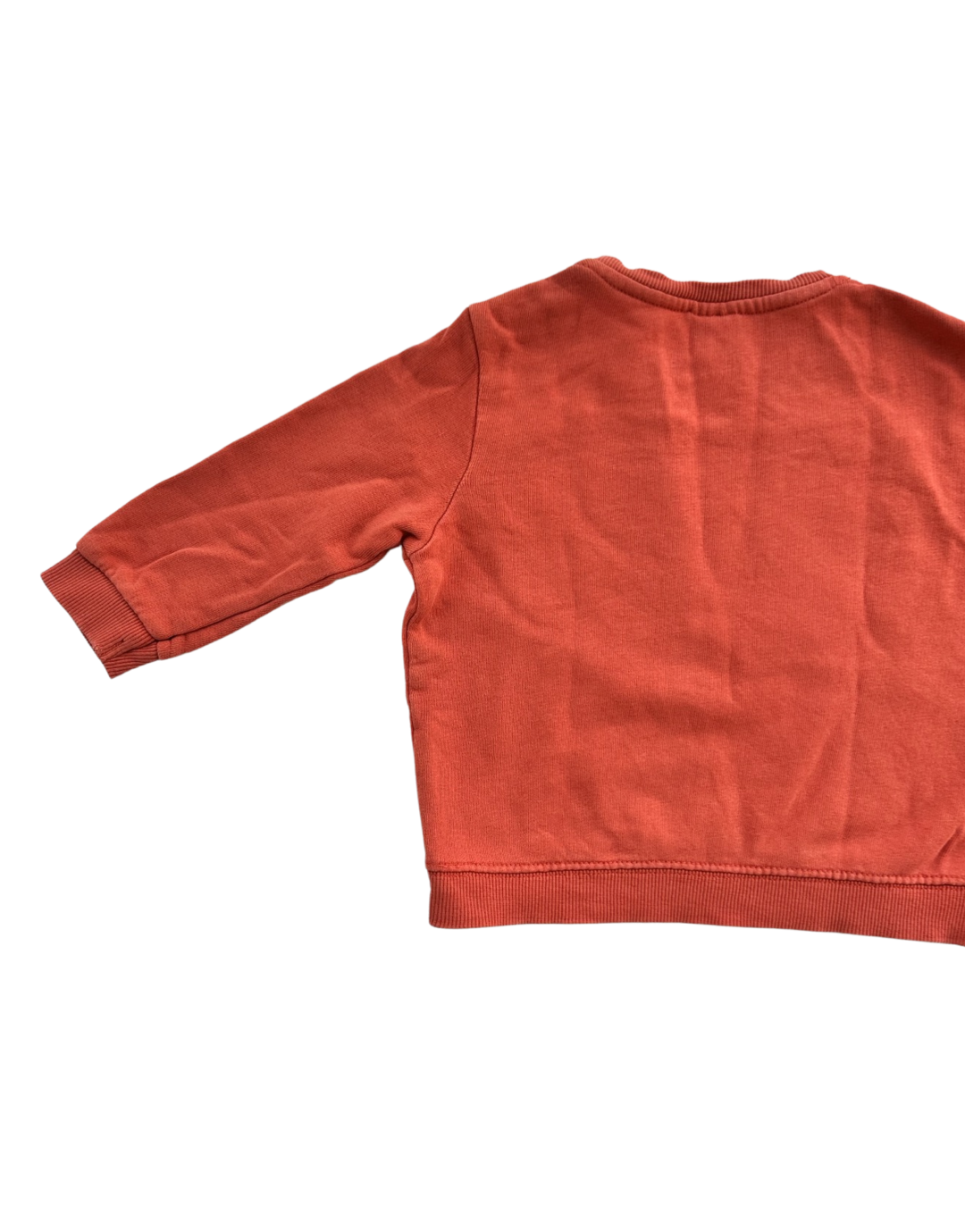 12M-18M Baby Boy Zara Panda Mood Sweatshirt