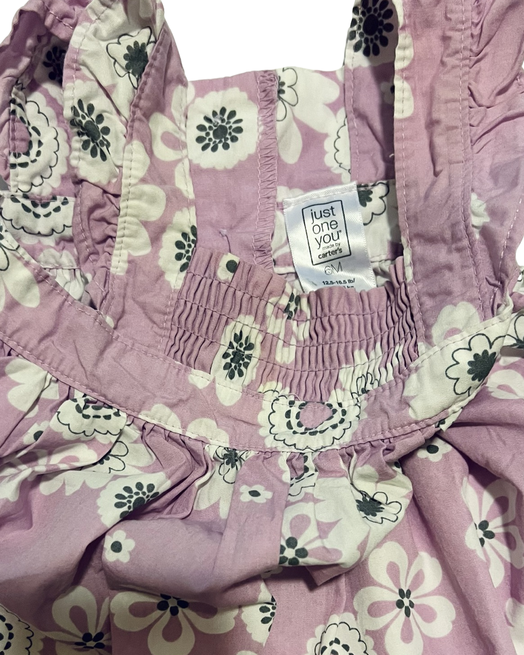 6M Baby Girl Purple Carters Floral Dress
