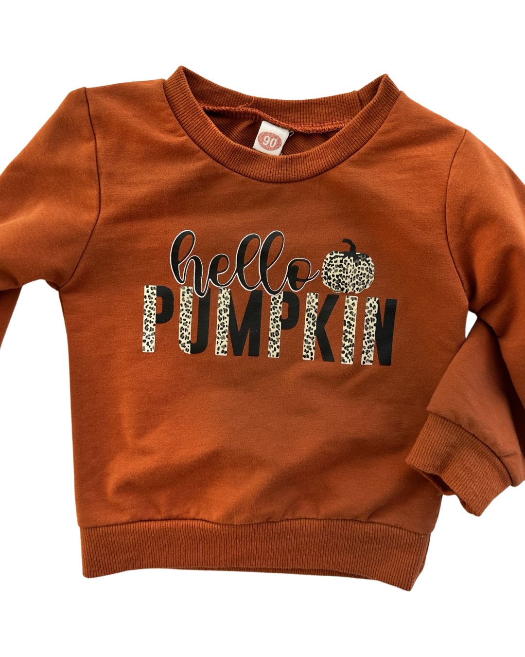 12M-18M Baby Girl Hello Pumpkin Sweatshirt Top