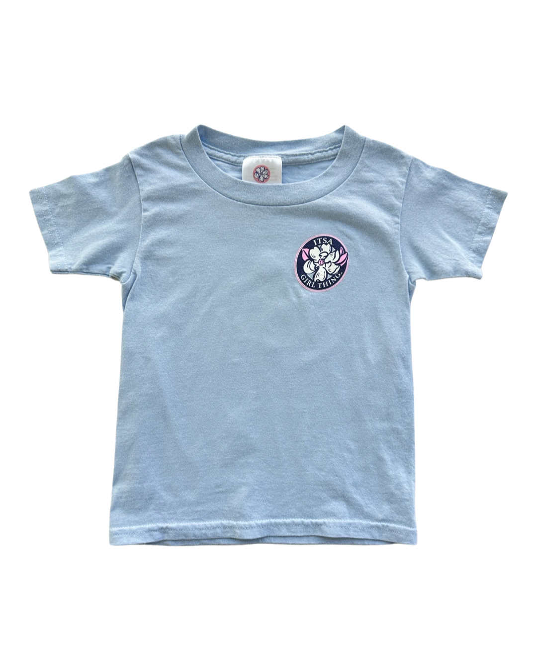 3T Toddler Girl Blue It’s A Girl Thing T-Shirt Top