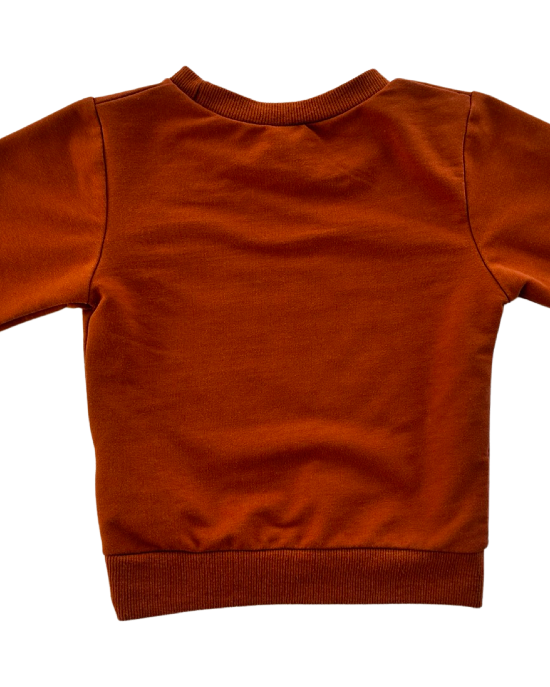 12M-18M Baby Girl Hello Pumpkin Sweatshirt Top